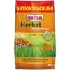 Substral Dünger Herbst Rasendünger, Langzeitwirkung Bis 90 Tage, 12,5 Kg Für 500m² 2 Substral Dünger Herbst Rasendünger, Langzeitwirkung Bis 90 Tage, 12,5 Kg Für 500m² -DEUDORFF Geschäft 154bdda485f0cf9a771897df8d66fc7a97df7480 duenger substral herbst rasenduenger