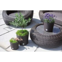 DEUDORFF Geschäft -DEUDORFF Geschäft 243b87d63db2f25fb6a39f8de0eb5029a1843243 uebertopf prosperplast rato round umbra